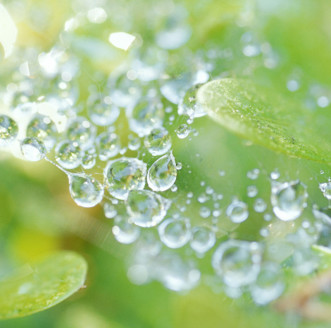 Fairtrade-gold & recyceltes Gold in Hannover Goldschmiede Chalos